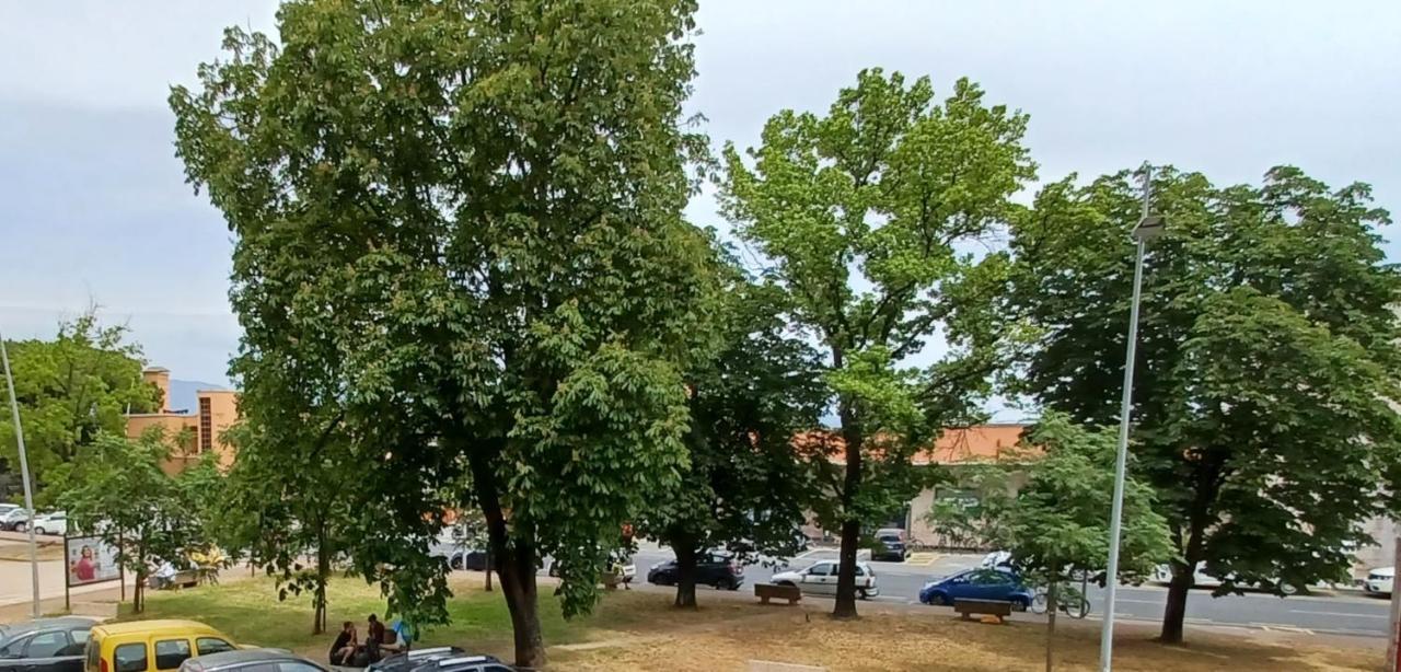 luminosissimo appartamento Viareggio centro Esterno foto